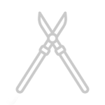 Tip Top Tree Service Ltd photo 5